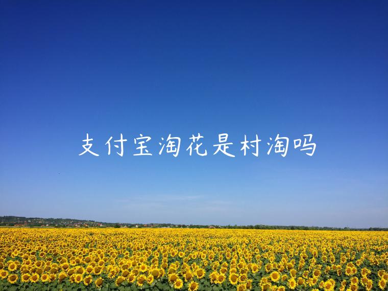 支付寶淘花是村淘嗎